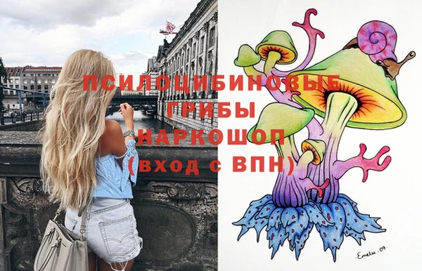 метадон Алексеевка