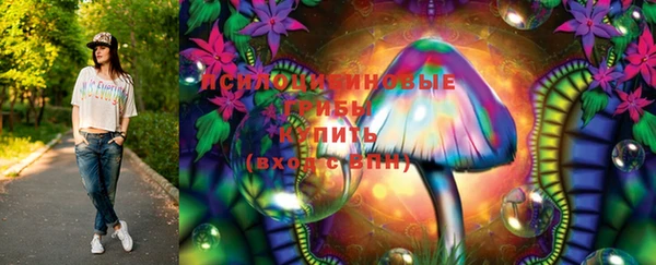 прущая мука Алзамай