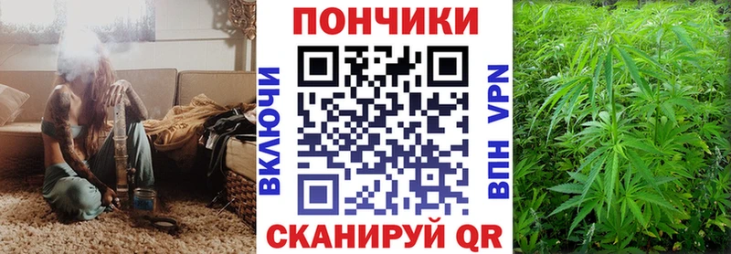 hydra ССЫЛКА  Зуевка  Шишки марихуана марихуана 